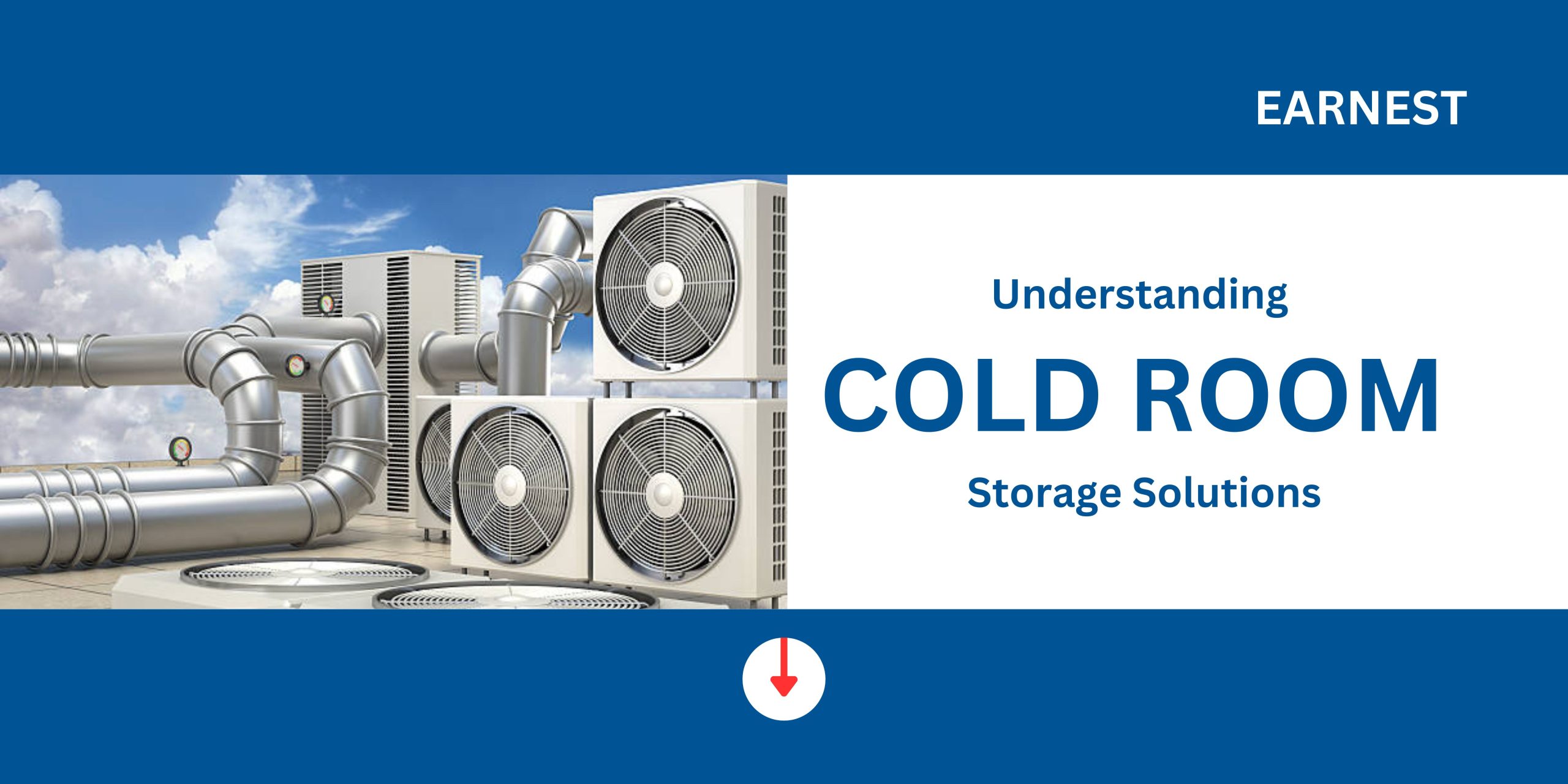 Understanding COLD ROOM Storage Solutions